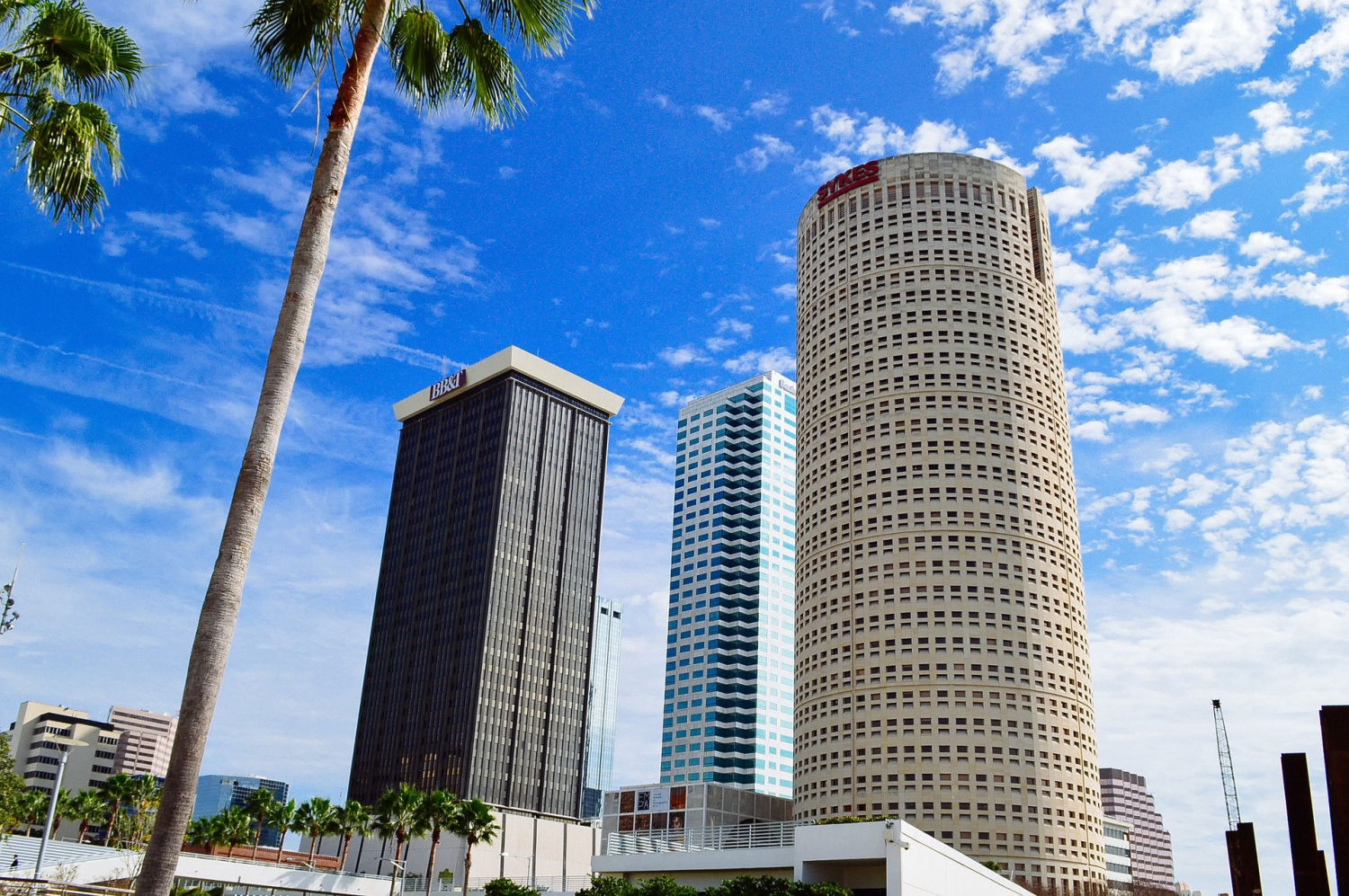 Tampa